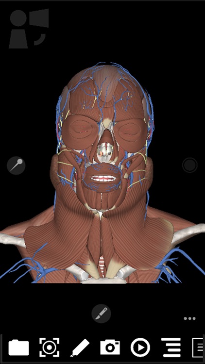 3Dissect Head and Neck