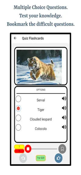 Game screenshot Learn Wild Cats hack