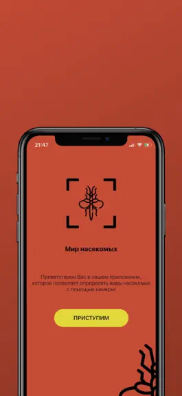 Game screenshot Мир насекомых mod apk