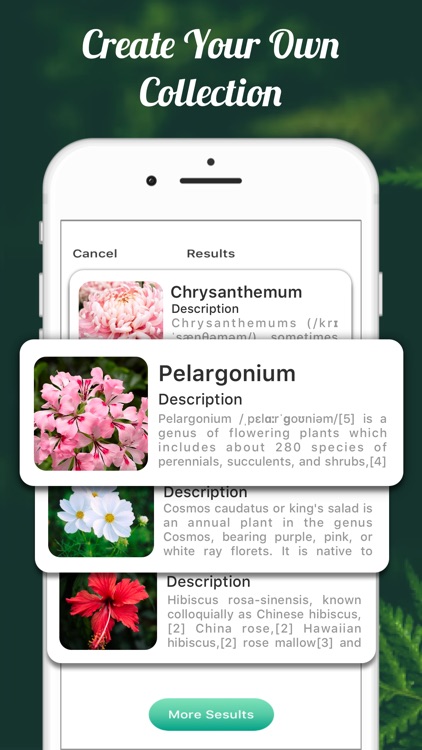 Plant Identifier This Picture screenshot-4