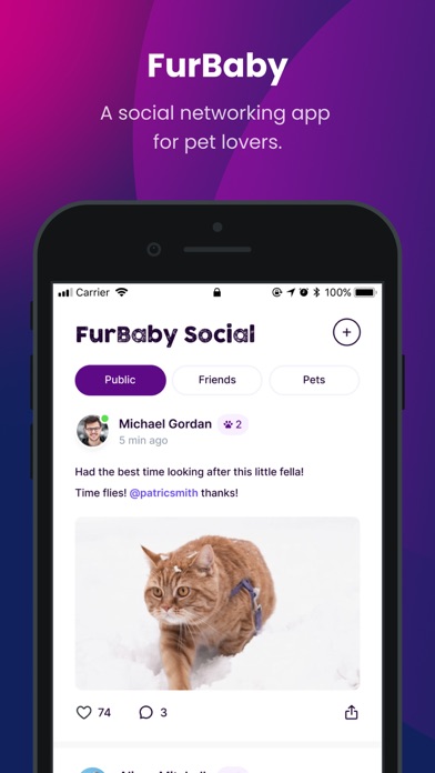 FurBaby Social Screenshot