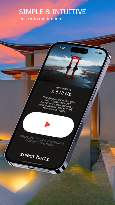 zentermind Screenshot
