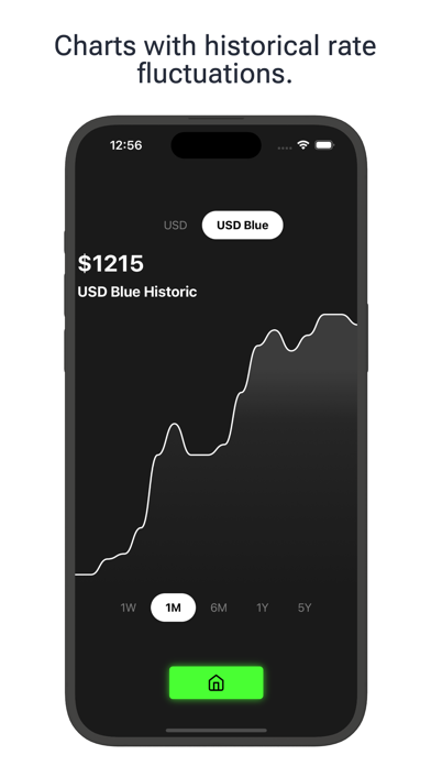 Argentine Peso to Dollar rates Screenshot