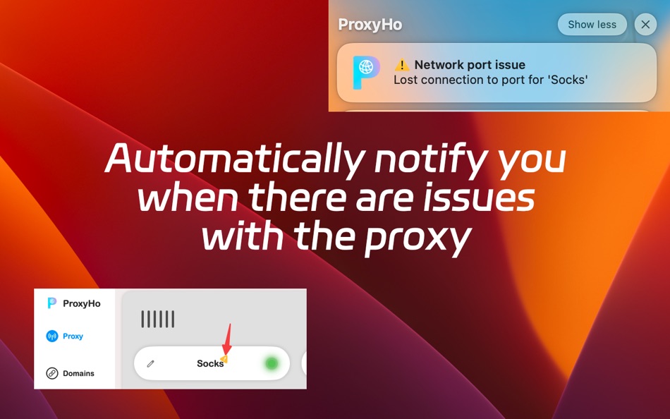 #7. ProxyHo - Network Switcher (macOS) 由: ScicoDream Network Technology Ltd