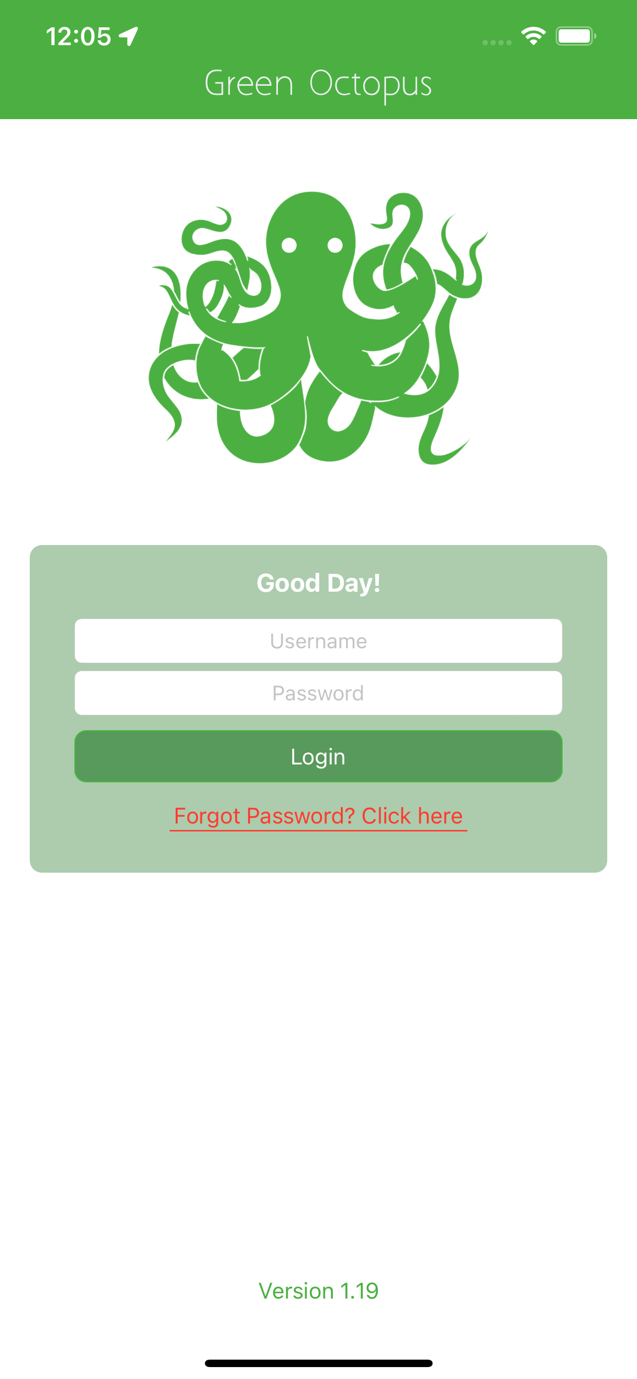 Green Octopus