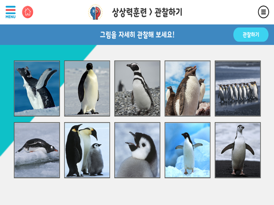 두비전 뇌교육 iPad screenshot