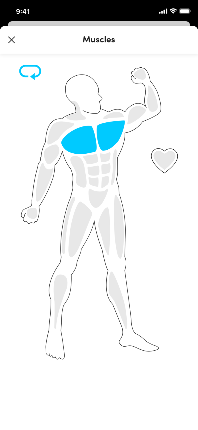 Power Peak Performance