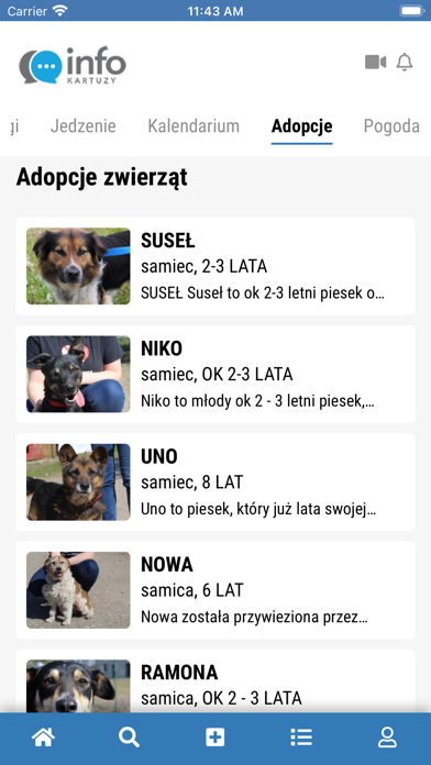 Kartuzy.info Screenshot
