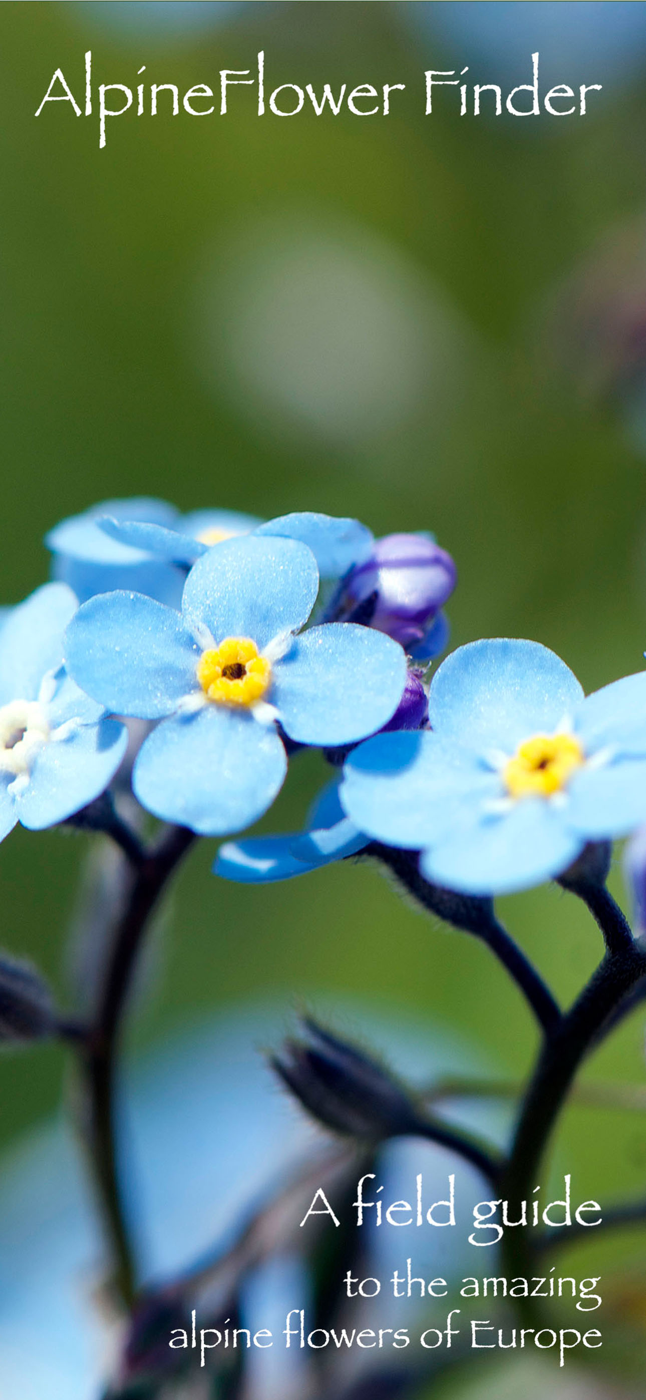 AlpineFlower Finder – Europe