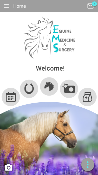 Equine Medicine and Surgery Screenshot