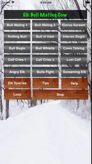 elk bull & cow hunting calls iphone screenshot 2