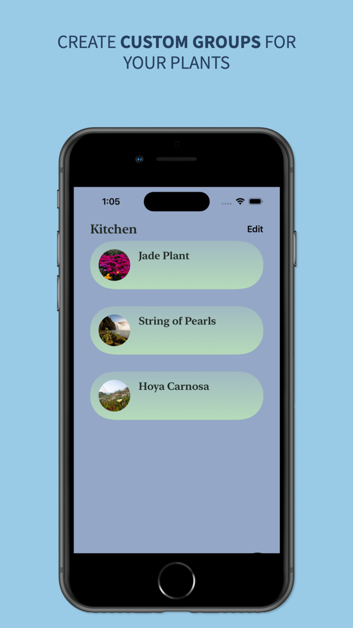 Indoor Plant Garden Planning