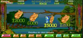 Game screenshot Funny Bugs Video Slot apk