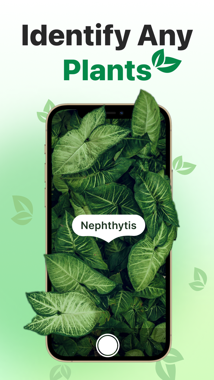 Plant ID Nature Identifier AI