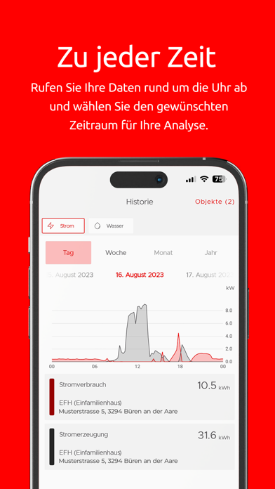 ENERGIEBOARD BÜREN Screenshot