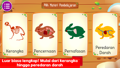 Marbel Sains : Anatomi Hewan Screenshot
