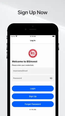 Game screenshot BSInvest apk