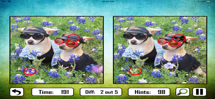 Animal Find The Difference