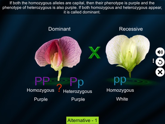 Screenshot #5 pour Test Cross: pea flower