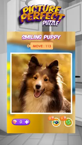 Game screenshot Picture Perfect Puzzles apk