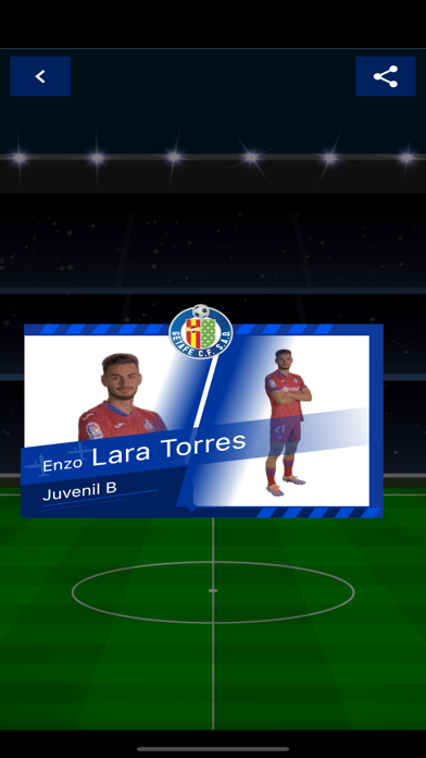 Dream team Screenshot