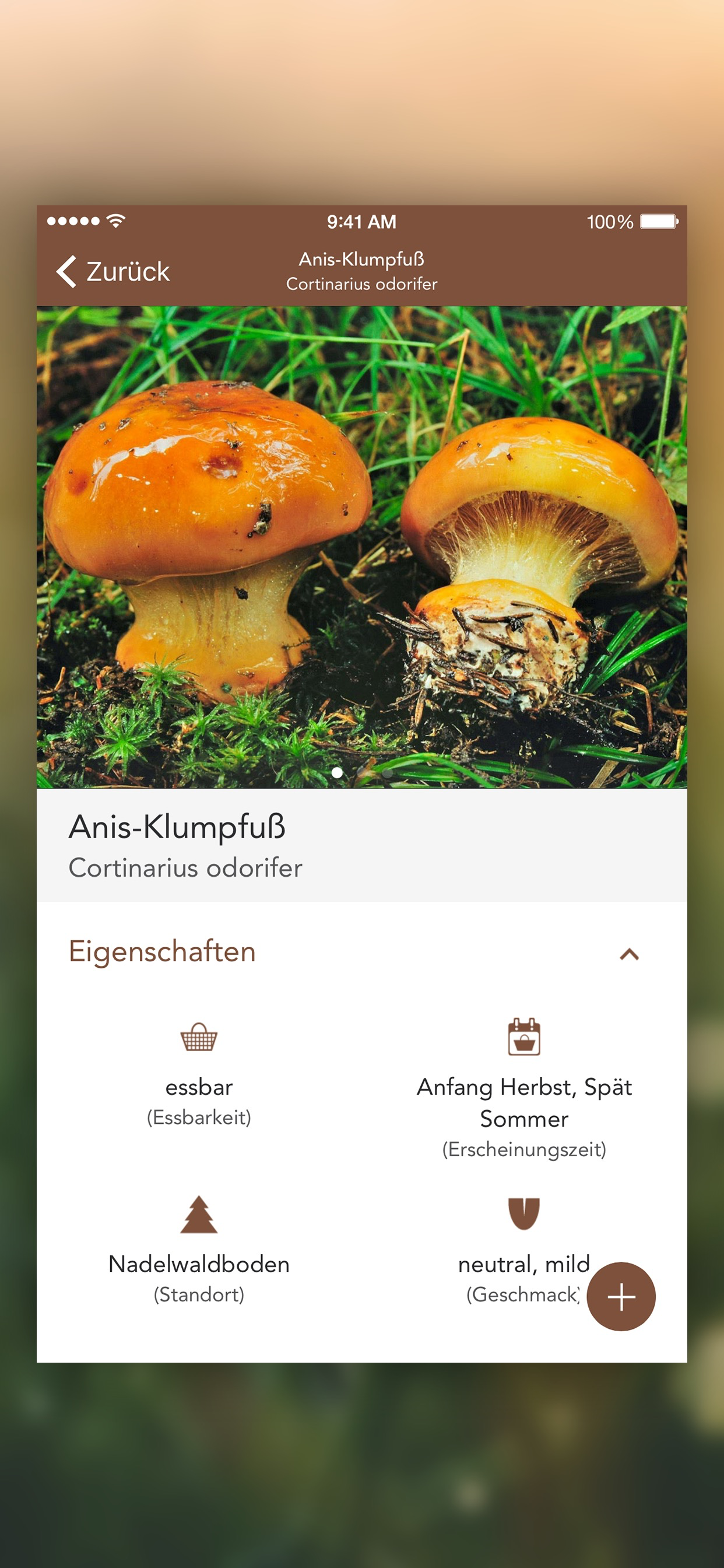 Pilzführer LITE - Pilze