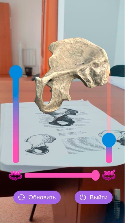 AR Anatomy