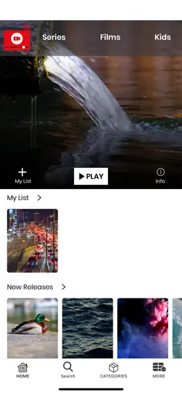 Game screenshot VidStream hack