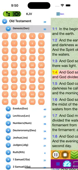 Game screenshot KJV Audio Holy Bible apk
