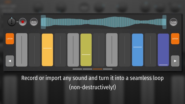 Salome - MPE Audio Sampler