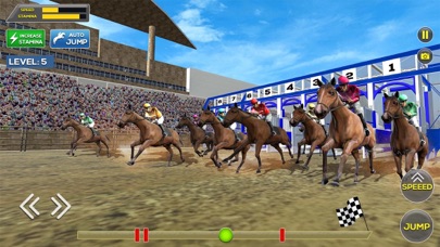 Horse Racing Game: Sports Game Screenshot
