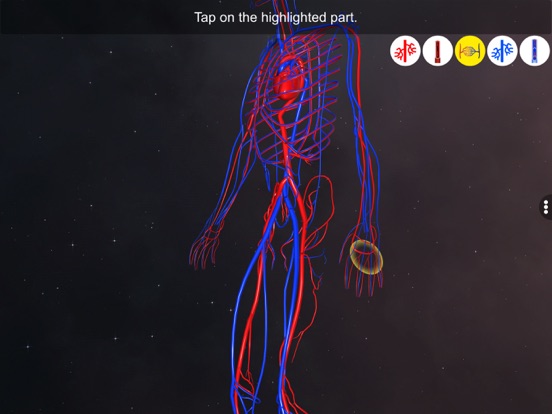 Screenshot #6 pour Vascular system