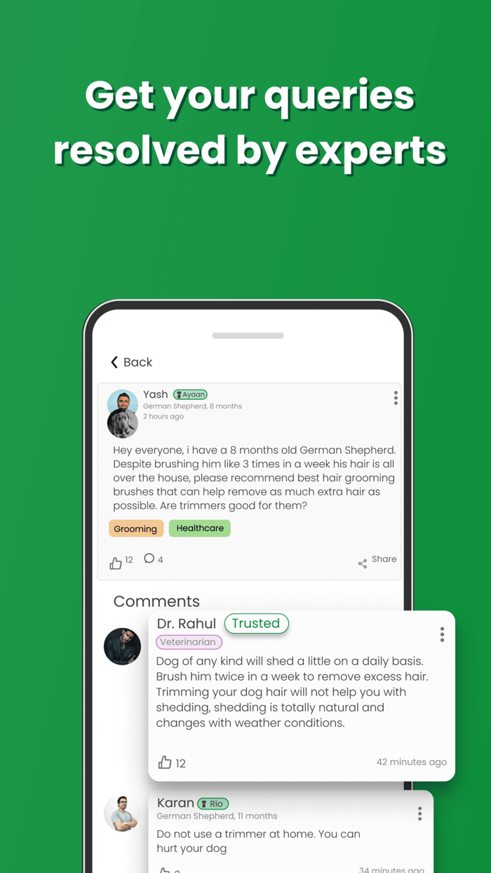 Pet Perfect - Puppy  Dog Care