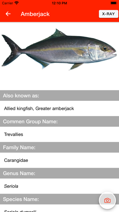 IkiJime Tool Screenshot