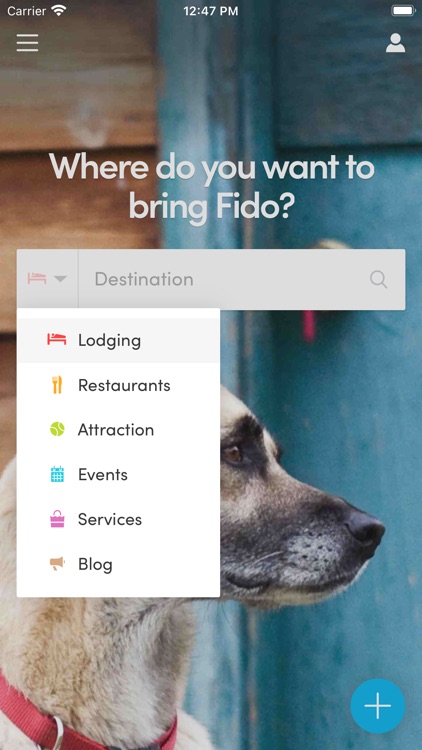 BringFido