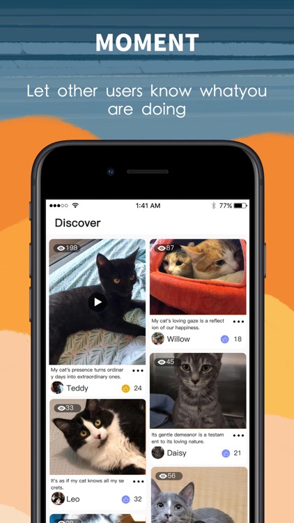 KittyKare-Naughty Video Chat