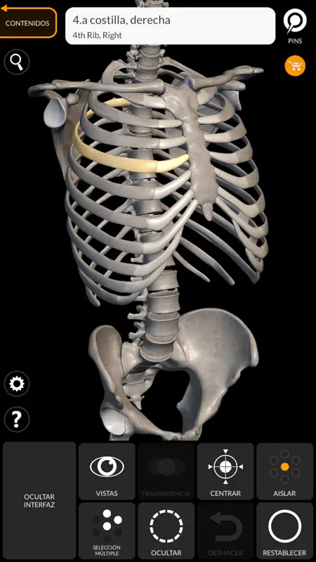 Esqueleto Anatomía 3D screenshot 2 of 6
