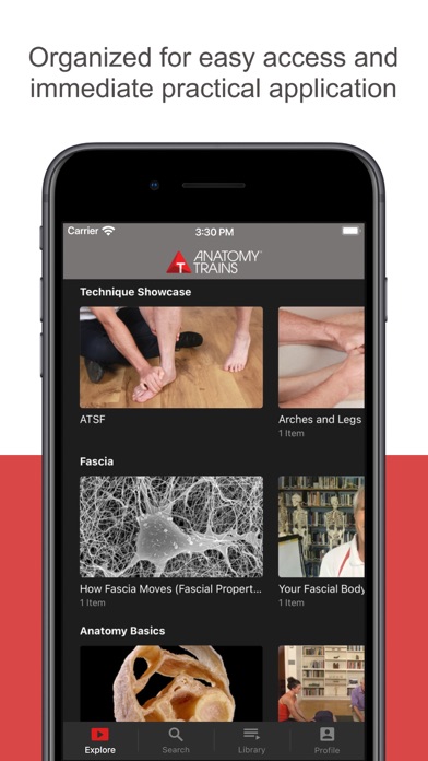 Anatomy Trains Screenshot