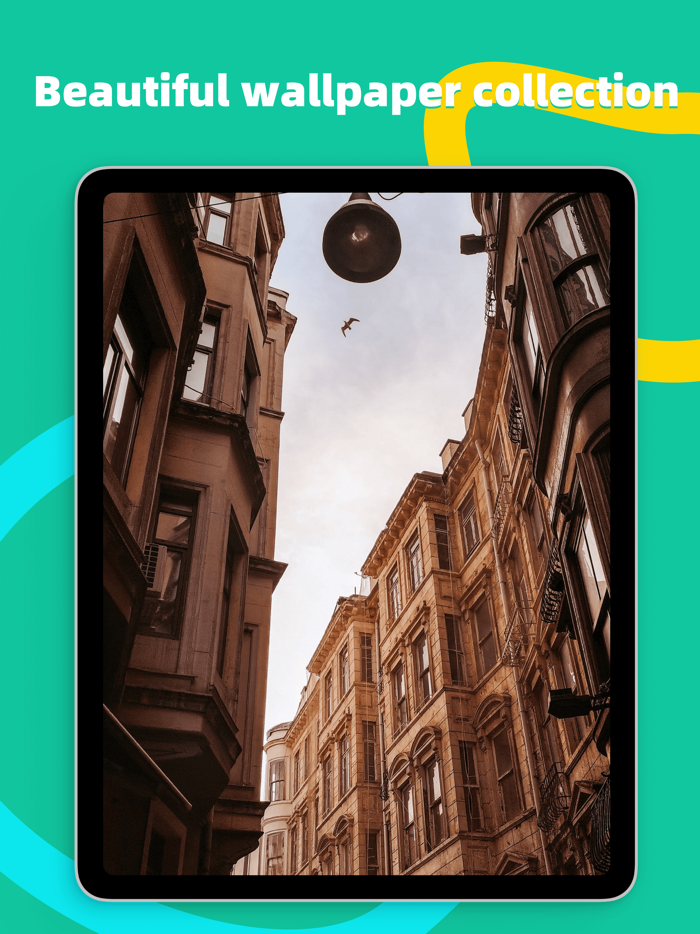 Focus Widgets - Many Functions
