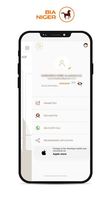 BIA Niger Mobile Screenshot