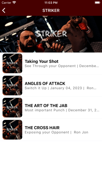 MMA Fight NOW Screenshot