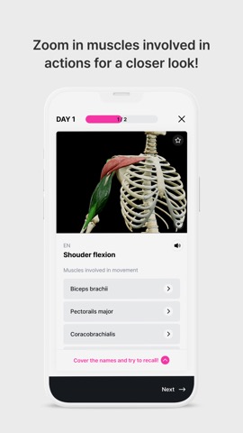 Anatomy Masterのおすすめ画像3