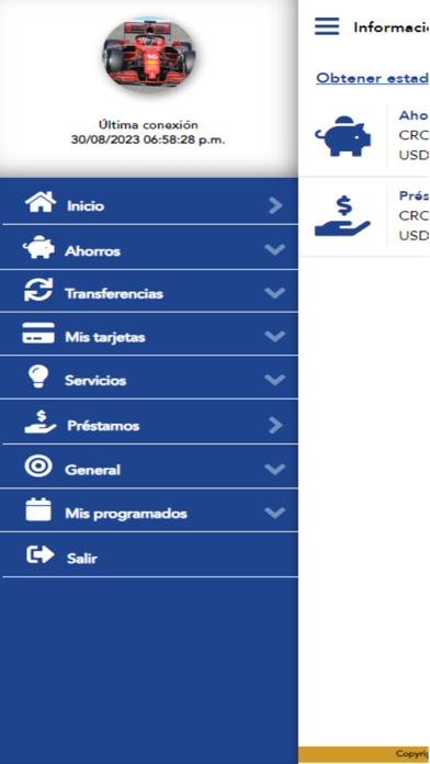 Caja de ANDE Digital Screenshot