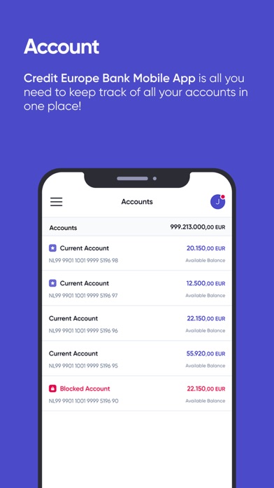 Credit Europe Bank Corporate Screenshot