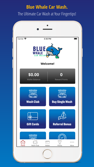 Blue Whale Car Wash Screenshot