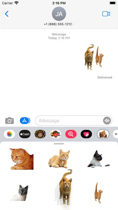 Cat photo sticker Screenshot