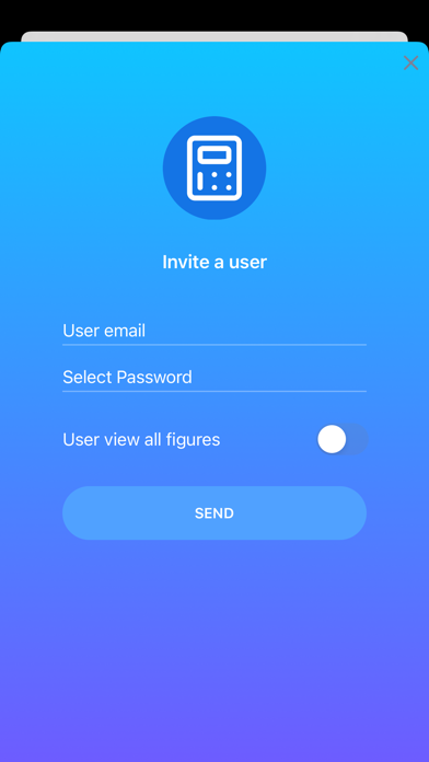 Figures - Income & Expenses Screenshot
