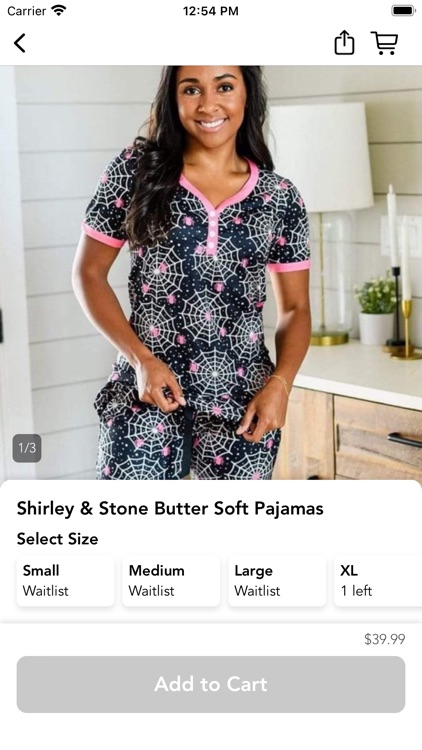 Blushing Birch Boutique