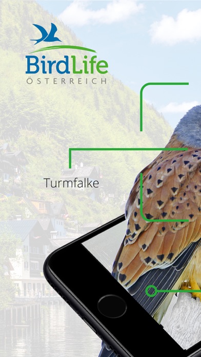 Vögel in Österreich Screenshot