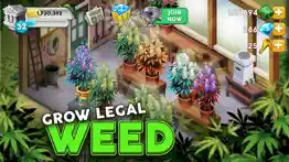 hempire - weed growing game iphone screenshot 1
